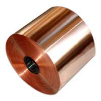 C5191 Phosphor Bronze Copper Strip